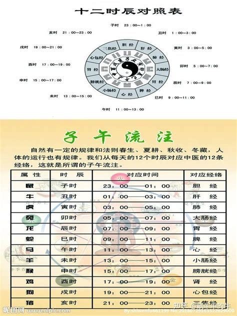 12天干地支|天支地支 十二时辰对照表